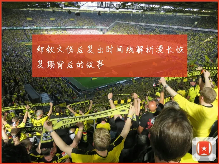 郑钦文伤后复出时间线解析漫长恢复期背后的故事