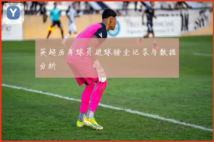 英超历年球员进球榜全记录与数据分析