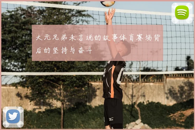大元兄弟未言说的故事体育赛场背后的坚持与奋斗